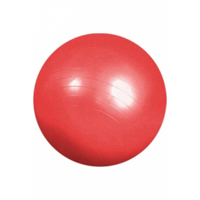 Гимнастический мяч 65см (в коробке с насосом) L 0165b фото 1
